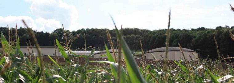 img_04zu